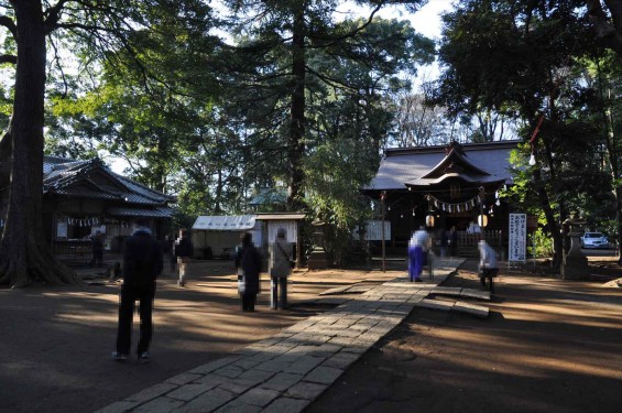 氷川三社に初詣　氷川女体神社DSC_0010境内