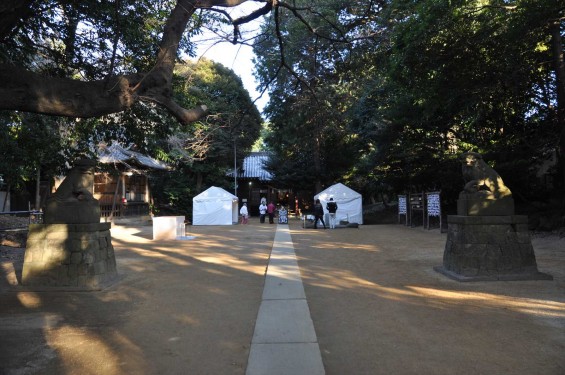 氷川三社に初詣　中山神社DSC_0054