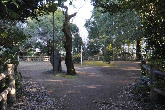 氷川三社に初詣　氷川女体神社DSC_0040磐船祭祭祀遺跡