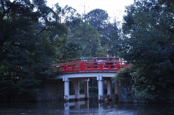 20150104 氷川神社に初詣DSC_0087