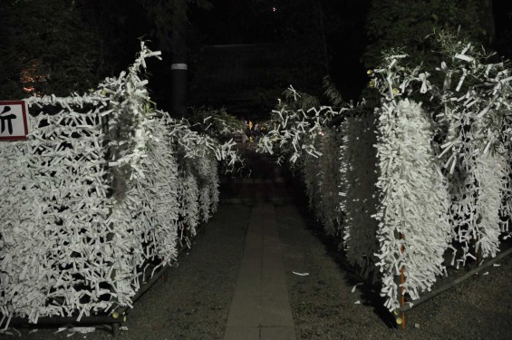 20150104 氷川神社に初詣DSC_0124