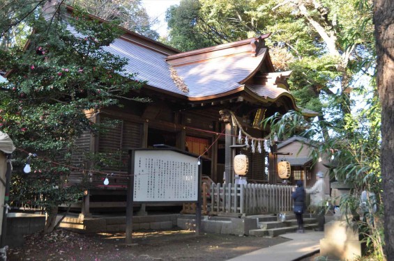 氷川三社に初詣　氷川女体神社DSC_0030拝殿