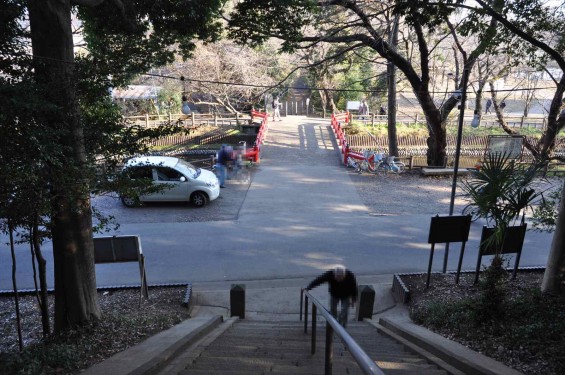 氷川三社に初詣　氷川女体神社DSC_0031石段 階段 見沼代用水西縁