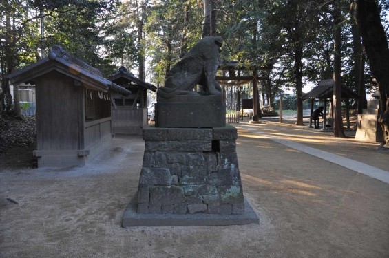 氷川三社に初詣　中山神社 狛犬DSC_0073