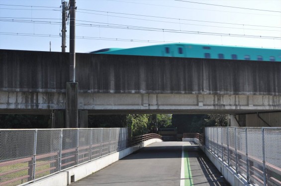 ニューシャトルの車両基地 埼玉県伊奈町 丸山DSC_0194 東北新幹線はやて