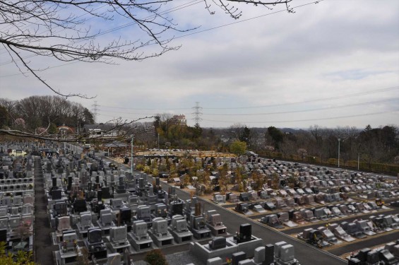 2015年3月5日 東京都町田市真光寺町 町田いずみ浄苑フォレストパークDSC_0074