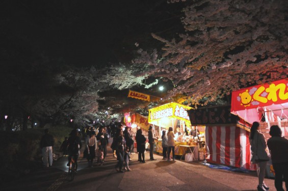 2015年3月31日　大宮公園の夜桜の花見DSC_0071