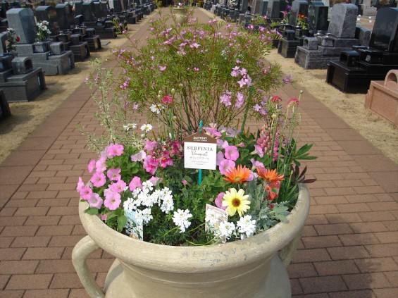 さきたま霊園の花のプランター001