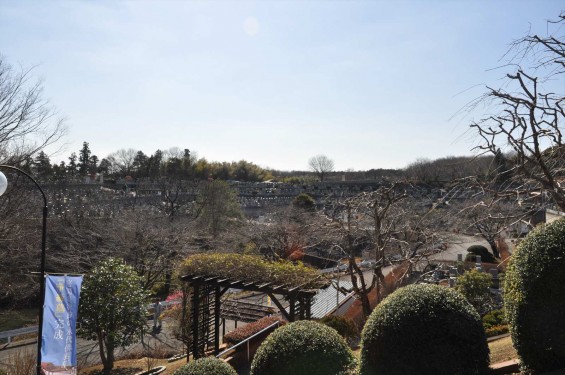 2015年3月5日 埼玉県東松山市　森林公園昭和浄苑DSC_0002