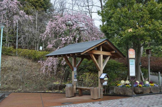 2015年3月5日 東京都町田市真光寺町 町田いずみ浄苑フォレストパークDSC_0055