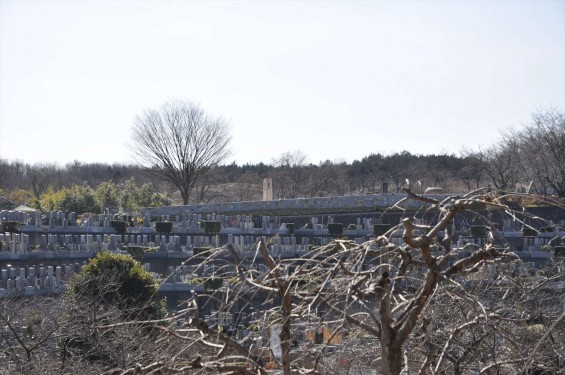 2015年3月5日 埼玉県東松山市　森林公園昭和浄苑DSC_0003