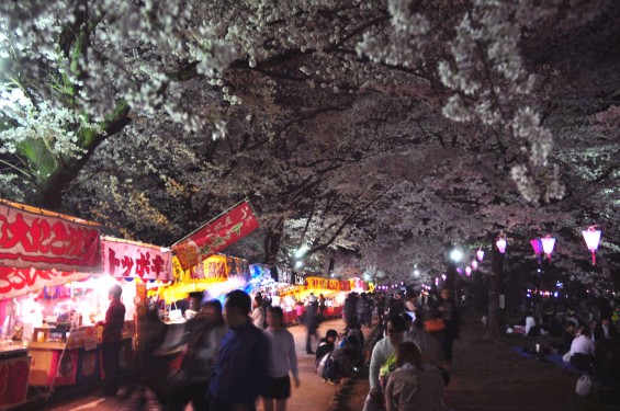 2015年3月31日　大宮公園の夜桜の花見DSC_0137