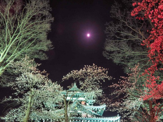 5d1e72c6c32698d1101c2374a306fcab_m 高田城夜桜-