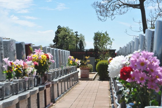 2015年4月 西上尾メモリアルガーデンのチューリップと花壇DSC_0017
