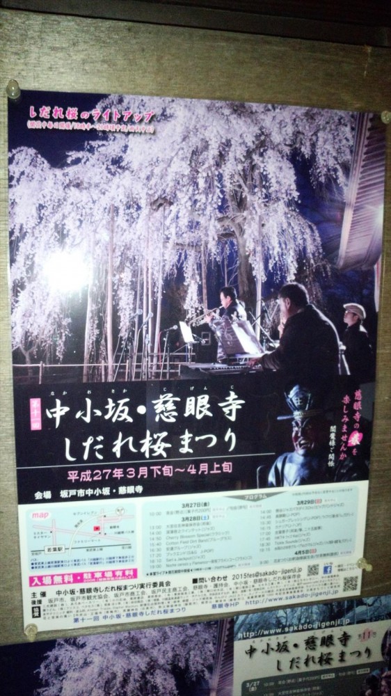 2015年3月31日　埼玉県坂戸市　慈眼寺のしだれ桜祭　本堂夜桜ライブDSC_0502