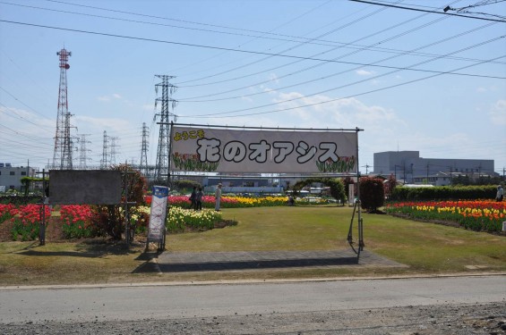2015年4月 埼玉県鴻巣市花のオアシスのチューリップと風車小屋DSC_0073