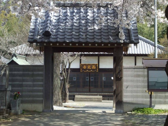 2015年4月　埼玉県伊奈町西光寺さまの桜満開DSCF6242