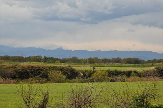 2015年4月 西上尾メモリアルガーデンから見える景色 草原 荒川の河川敷DSC_0069