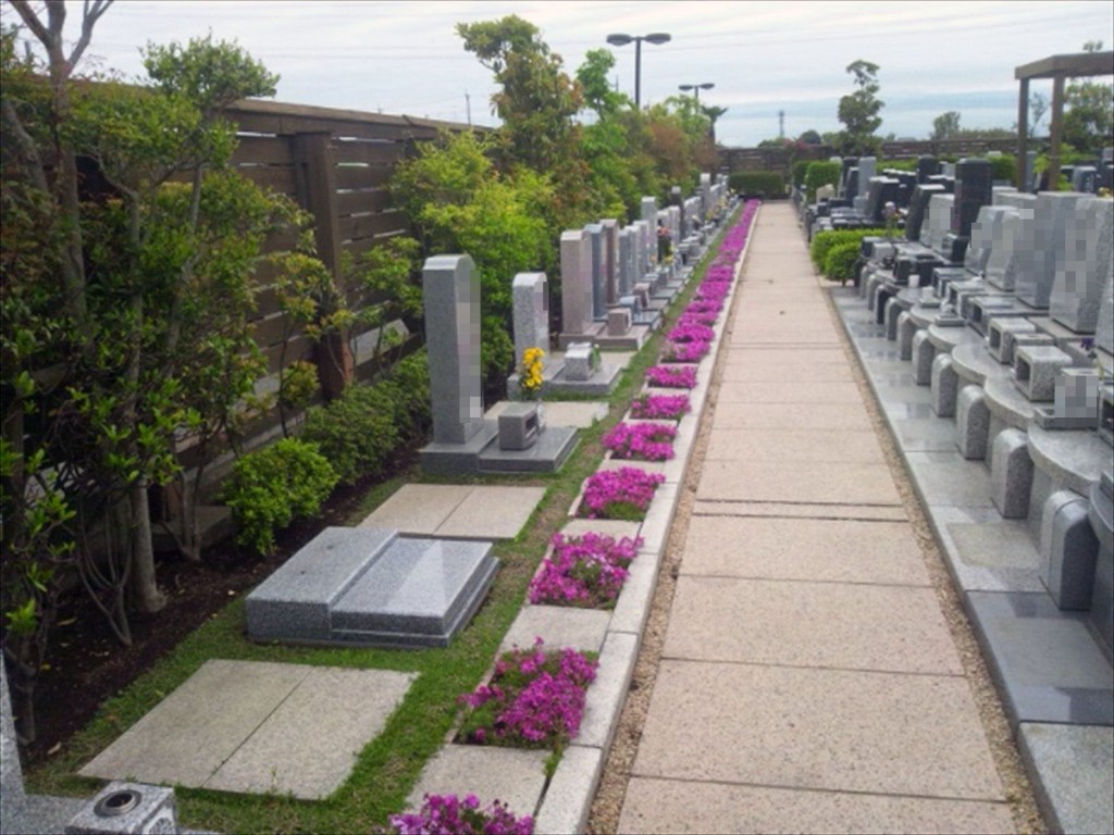 埼玉県 鴻巣霊園の芝桜 150421_105512