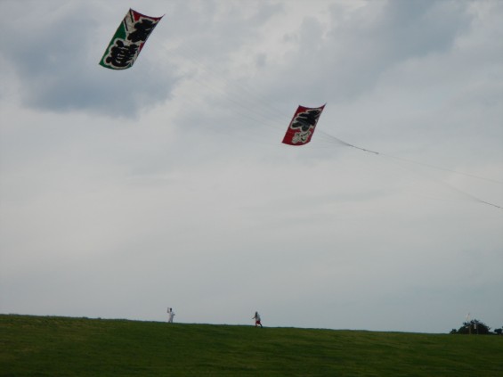 2015年5月3日 埼玉県春日部市庄和 大凧あげ祭りDSCN6990