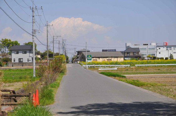 2015年5月 新緑の埼玉県行田市さきたま緑道から見えるさきたま霊園DSC_0047