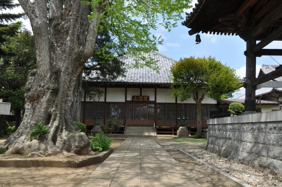 2015年5月1日 上尾市の寺 龍山院 本堂とむくろじ 無患子DSC_0180