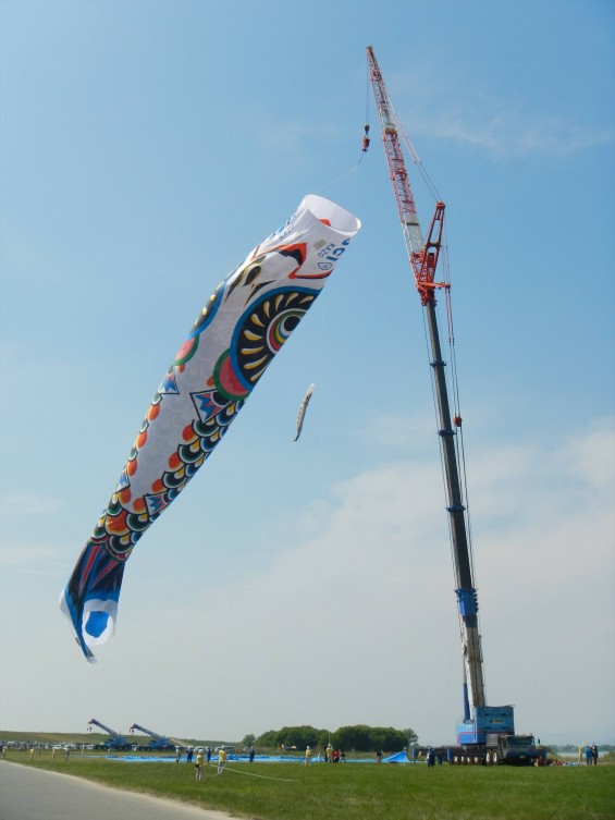 2015年5月3日 第6回加須市市民平和際 ジャンボ鯉のぼりDSCN6882