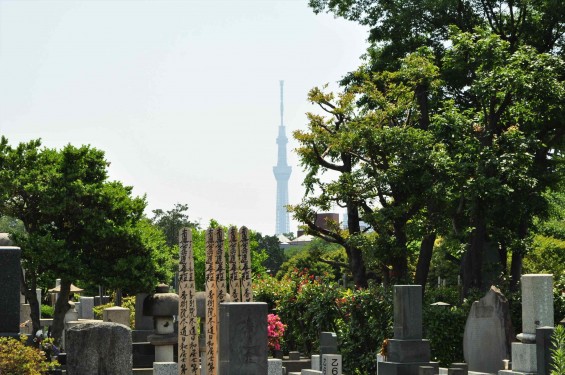 2015年5月27日 都心霊園バスツアー 谷中霊園 全国石製品協同組合 全石協DSC_0705-スカイツリー