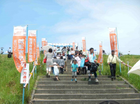 2015年5月3日 第6回加須市市民平和際 ジャンボ鯉のぼりDSCN6841