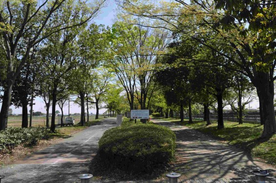 2015年5月 新緑の埼玉県行田市さきたま緑道から見えるさきたま霊園DSC_0044