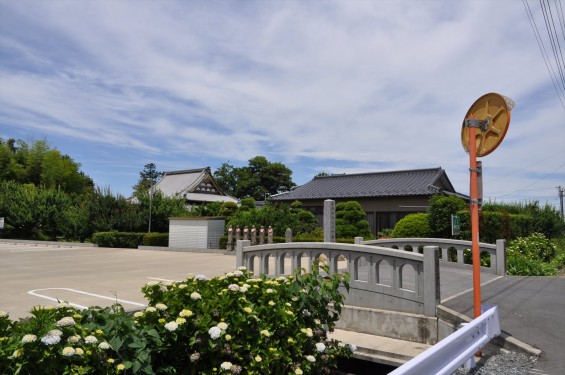 2015年6月 埼玉県久喜市六万部 香最寺の紫陽花DSC_1130