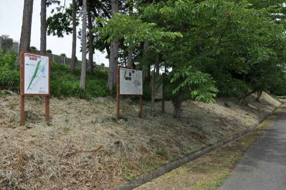 埼玉県鳩山町 瓦窯跡DSC_1224