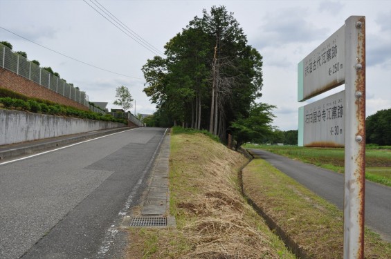 埼玉県鳩山町 瓦窯跡DSC_1232