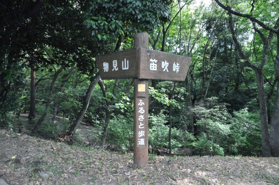 埼玉県東松山市 物見山 DSC_1359-