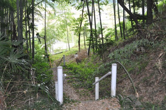 埼玉県鳩山町 白山神社と十郎横穴墓群DSC_1291