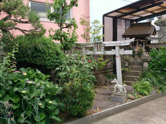 2015年6月2日 石材店の庭で紫陽花あじさい咲いたDSC_0185