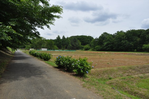 埼玉県鳩山町 瓦窯跡DSC_1220