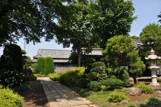 2015年6月24日 埼玉県伊奈町の寺院 法光寺DSC_1639