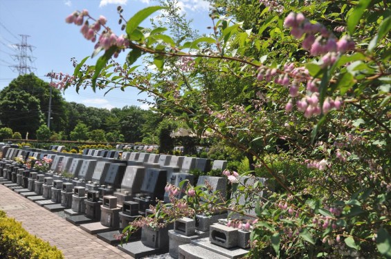 2015年5月 埼玉県日高市の霊園 青葉浄苑2015年5月 埼玉県日高市の霊園 青葉浄苑DSC_0438