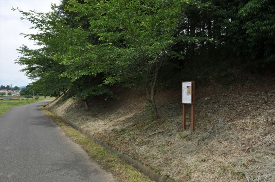 埼玉県鳩山町 瓦窯跡DSC_1221