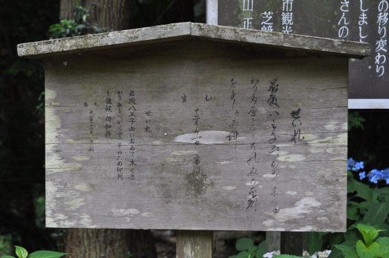 2015年6月 埼玉県東松山市 岩殿観音正法寺 DSC_1430 あじさい 上田朝直 制札 高札