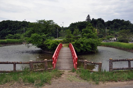 埼玉県東松山市岩殿 弁天沼 鳴かずの池 坂上田村麻呂 龍退治 伝説DSC_1465