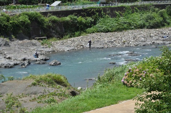 2015年7月 静岡県静岡市清水区興津井上町 霊泉寺 六角堂DSC_1728