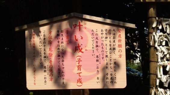 2015年7月 さいたま市岩槻区 久伊豆神社2015072614270000 安産祈願 叶い戌 子育て戌