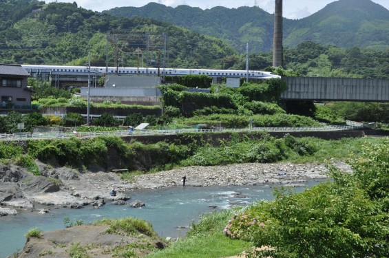 2015年7月 静岡県静岡市清水区興津井上町 霊泉寺 六角堂DSC_1729