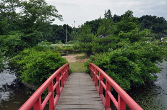 埼玉県東松山市岩殿 弁天沼 鳴かずの池 坂上田村麻呂 龍退治 伝説DSC_1461