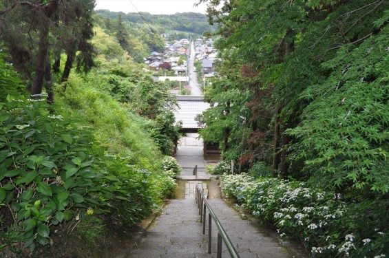 2015年6月 埼玉県東松山市 岩殿観音正法寺DSC_1427 あじさい 石段 門前町