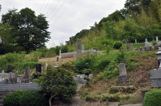 20150608 東松山市岩殿 阿弥陀堂の板石塔婆DSC_1450