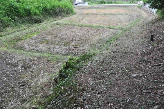 2015年6月 埼玉県東松山市岩殿 足利基氏館跡DSC_1472