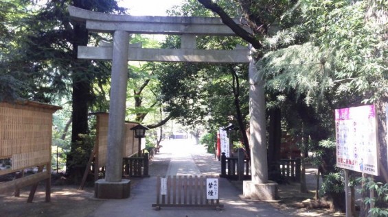 2015年7月 さいたま市岩槻区 久伊豆神社2015072614330000